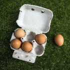 La crisi dels ous amb fipronil evidencia les esquerdes del control alimentari a la UE
