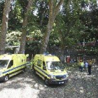 Varias muertos tras caer un árbol durante una romería en Madeira