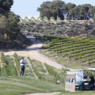 Diversos jugadors ahir a les instal·lacions del camp de Raimat.
