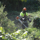 Un operari d'Endesa realitza tasques de neteja forestal.