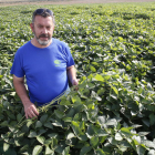 Jordi Gensana, en su plantación de soja del área regable del Algerri-Balaguer. 