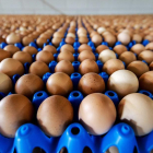 Imagen de huevos guardados en un almacén.
