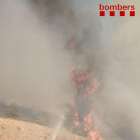 Dos bomberos durante la intervención.