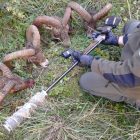 Els caçadors van amagar el rifle amb el silenciador i quatre dels animals que havien abatut.
