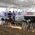 Els ramaders van poder assistir a la granja experimental.