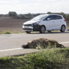 Accident d’un motorista a Camarasa i xoc amb un senglar a Tarroja