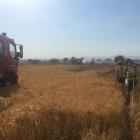 Tres dotaciones terrestres trabajaron en la extinción del incendio de Cervera ayer por la tarde. 