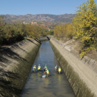 Imatges d'operaris al canal de Gavet que retiraven dilluns els exemplars abans de començar les obres.