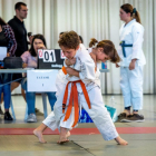 La Diada del Judo reúne a 140 participantes