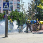 Efectius de Bombers ahir a l’avinguda Barcelona.