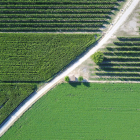 regularitat. Els camps de fruiters i els de blat de moro s’alternen en un paisatge de regadiu marcat per la simetria gairebé perfecta dels conreus.