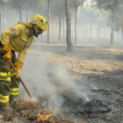 Bomberos trabajan en el incendio declarado en el término municipal de Moguer.