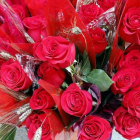 Imagen de archivo de rosas de Sant Jordi