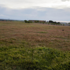 Los terrenos donde se construirá la central solar de Anglesola.