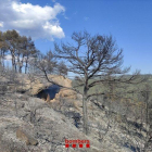 El incendio ha afectado 5,9 hectáreas de terreno forestal, según los Agentes Rurales