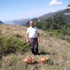 Un “boletaire” con dos cestas de robellones que recogió ayer en los bosques del Alt Urgell.