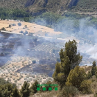 El foc va calcinar 9,3 hectàrees de camps i arbratge.