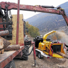 Imagen de archivo de astillas para biomasa en el Pallars Sobirà.