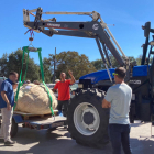 Una carabassa de 521 kg de Corbera d'Ebre guanya el concurs de Sedó