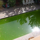 Com solucionar l'aigua verda de la piscina