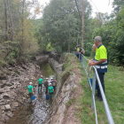 Rescate de truchas y otras especies de río en el canal de la central hidroeléctrica de Sossis