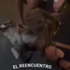 Frame del vídeo penjat a Instagram per la Policia Local de Águilas (Múrcia).