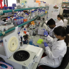 Investigadores trabajando ayer en un laboratorio del campus de Agrónomos.