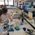 Estudiants d’ESO i Batxillerat en un laboratori, al curs ‘Animal research: els superpoders de la PCR i la microscòpia’.