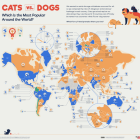 Mapa que muestra las preferencias por lo que se refiere a animales de compañía.