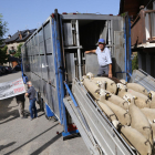 Ramon Cornellana puja les 450 ovelles al camió per traslladar-les des del Sobirà fins a les Garrigues, on passaran l’estiu.