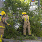 Bombers retirant un arbre que va caure sobre un cotxe al carrer Esperança González.