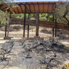 La zona que quemaron del parque de Tàrrega. 