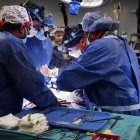 Mor dos mesos després el pacient amb un cor de porc trasplantat
