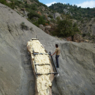 La mòmia del coll. El bloc d'escuma de poliuretà amb què es va protegir el 2014 el fòssil del coll per a la seua extracció del jaciment.