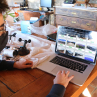 Un miembro del Proyecto 4 Estaciones consultando las cámaras web que se ven desde un ordenador portátil.