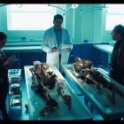 Al fons d’un pantà sec apareixen dos cadàvers.