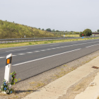 L’accident mortal va tenir lloc ahir al quilòmetre 461 de l’autovia A-2 a Lleida.