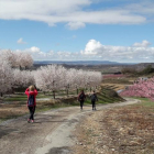 Contemplar la floració ha estat una de les activitats d’aquest cap de setmana.