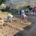 Dissabte uns seixanta veïns van plantar més de 600 unitats.