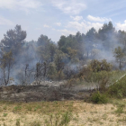 El fuego de L’Albi calcinó unas dos hectáreas.