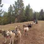 Activitats amb gossos i trineu aquesta Setmana Santa a les pistes de Tuixent-la Vansa organitzades per Cau de Llops.
