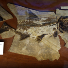 Primeros pasos para virtualizar la colección de fósiles de la Pedrera de Meià