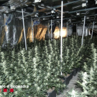 Al magatzem hi havia un complex ‘laboratori’ per fer un cultiu intensiu indoor de marihuana.