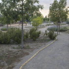 Imagen del jardín botánico que da acceso a la plaza de la Pau de Guissona. 
