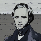 Un fotograma del corto ‘Darwin’s Notebook’, de Schwizgebel.