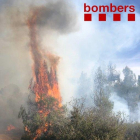 El incendio de Juncosa afectó una superficie de 1,5 hectáreas. 