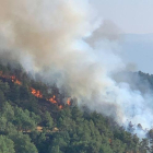 Un incendio forestal en el Solsonès.