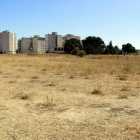 Un terreno yermo y con vegetación seca junto a un grupo de bloques de pisos en el barrio de Balàfia de Lleida.