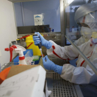 Sanidad confirma 59 casos positivos de viruela no humana