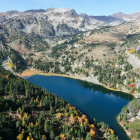 Declarada una zona de protecció acústica en el Parc Natural de l'Alt Pirineu per la presència d'aquest animal